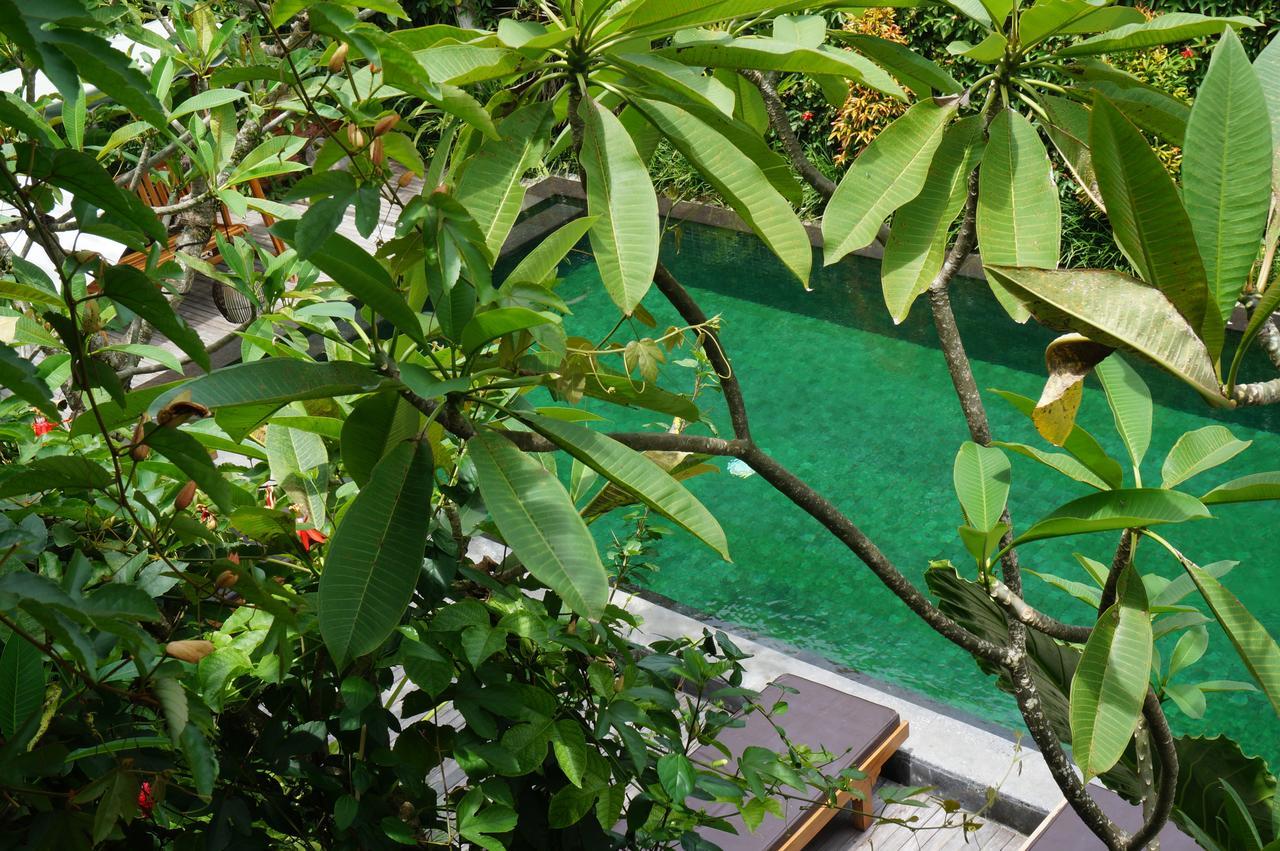 Sapodilla Ubud Exteriér fotografie